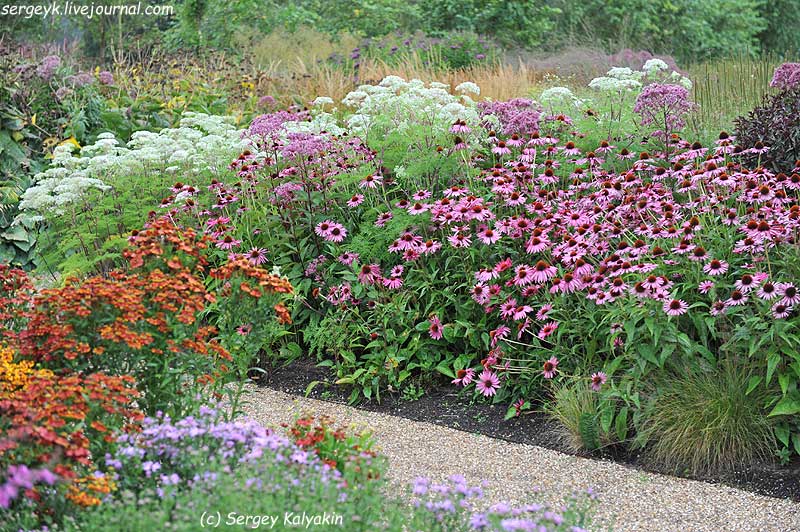 Trantham Gardens 196.JPG Trantham Gardens 196.JPG