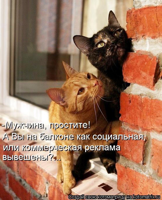 А Вы на балконе как социальная, или коммерческая реклама вывешены?... -Мужчина, простите!... Котоматрица: А Вы на балконе как социальная, или коммерческая реклама вывешены?... -Мужчина, простите!