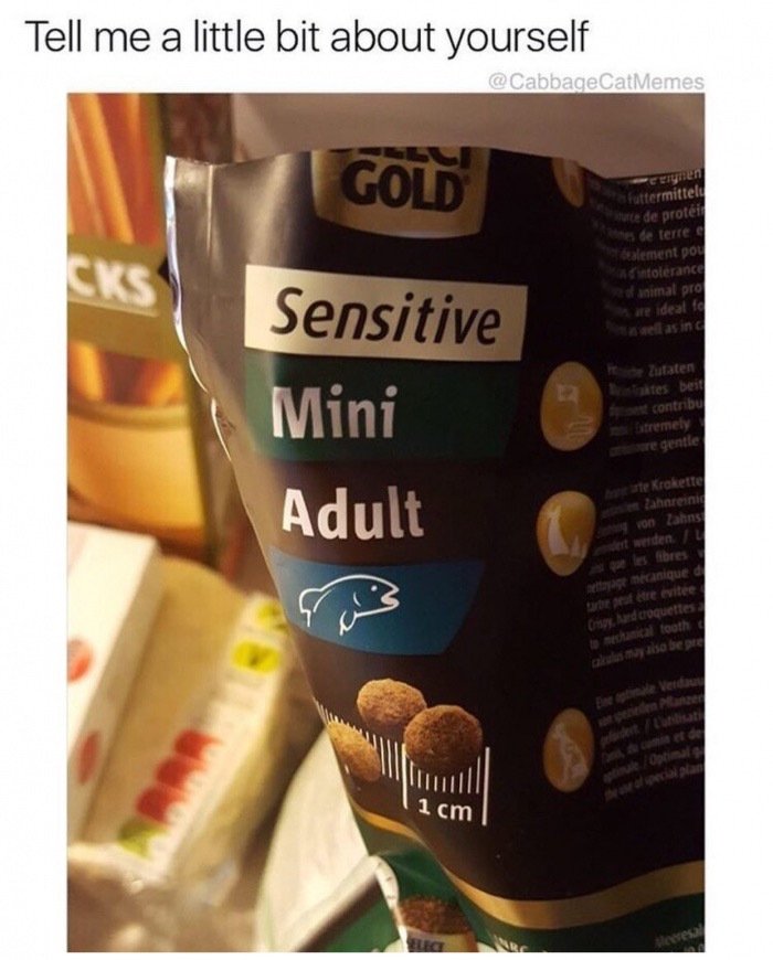 tk random memes that made us spit out our morning coffee this week 239 Random memes that made us spit out our morning coffee this week (59 photos)