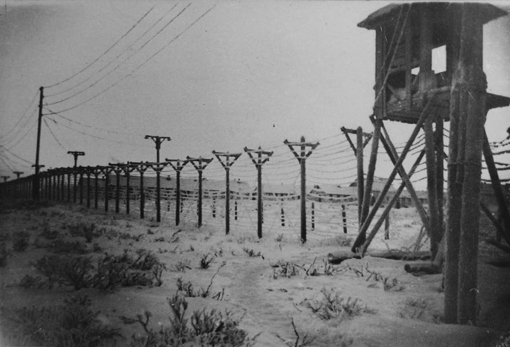 «Девчата» в тенях ГУЛАГа.