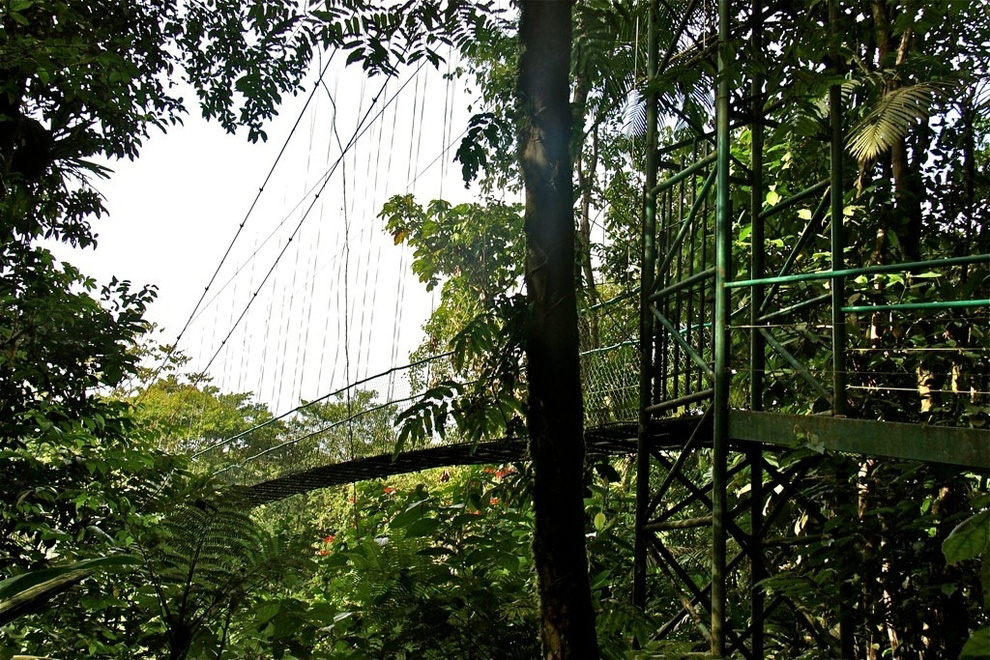 Insane Hanging Bridges 19     