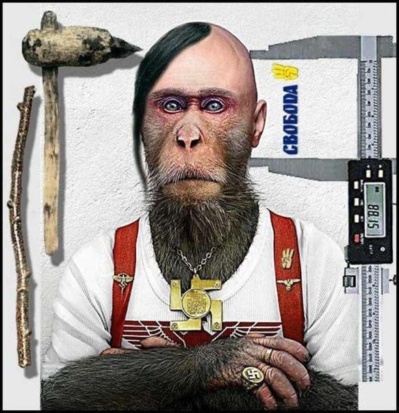 http://cs618627.vk.me/v618627907/ffc9/f5AR1QnhTgQ.jpg