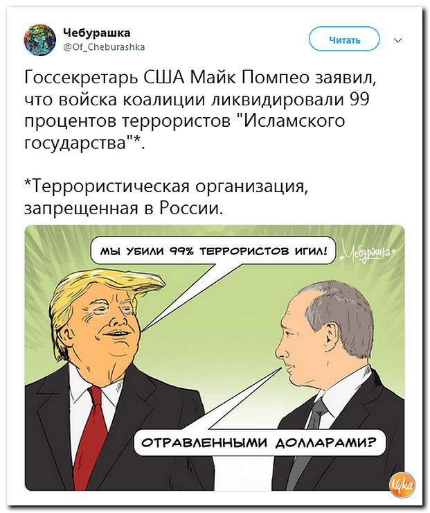 463dd205d1b22e8ec03754223b8bf63b.jpg