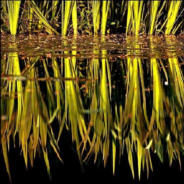 Дивная красота нашей матушки-Земли от Михалыча