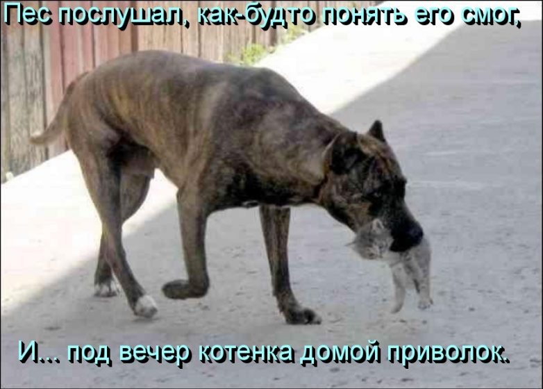 Дружба навеки