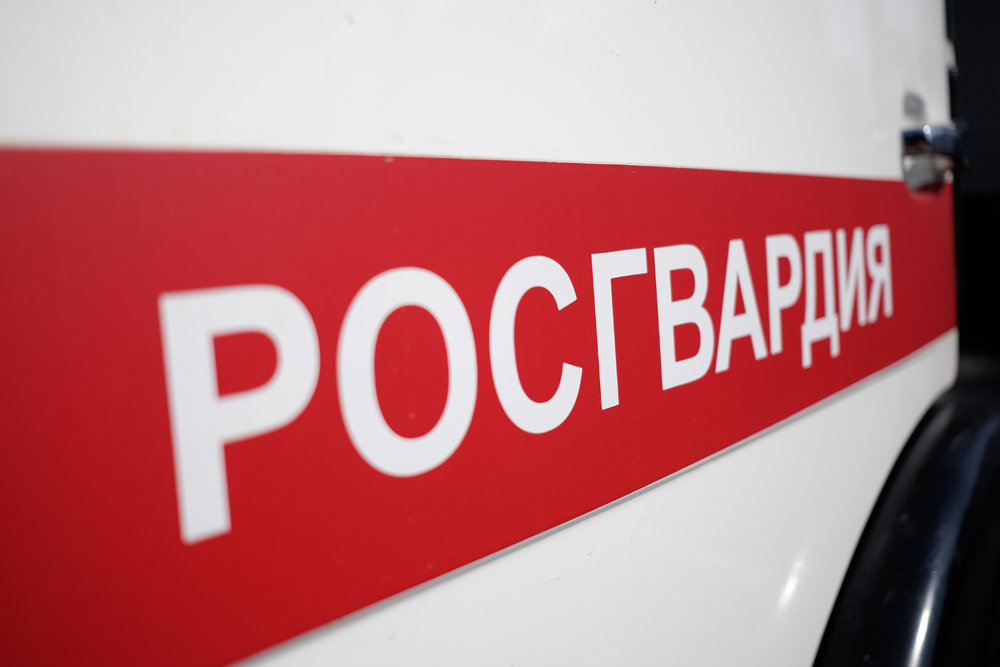 Суд: Иск директора Росгвардии к Навальному требует доработки