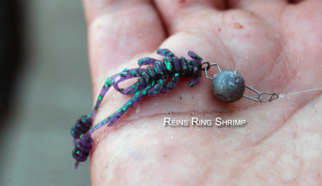 микроджиговый рачок Reins Ring Shrimp