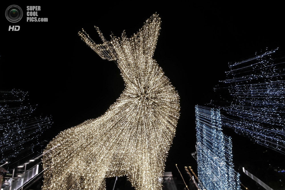 Рождественская сказка