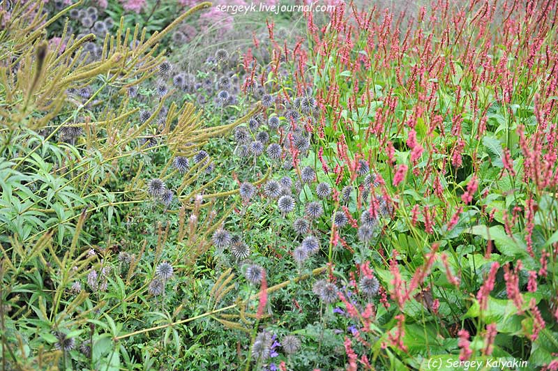 Trantham Gardens 080.JPG Trantham Gardens 080.JPG