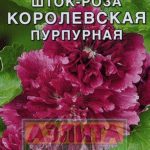 Шток роза посадка и уход в открытом грунте осенью