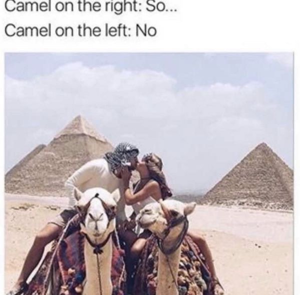 tk random memes that made us spit out our morning coffee this week 238 Random memes that made us spit out our morning coffee this week (59 photos)