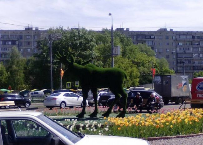 У буржуинов от этих фотографий пригорает и они понять ничего не могут. Занимательная фотоподборка с просторов России