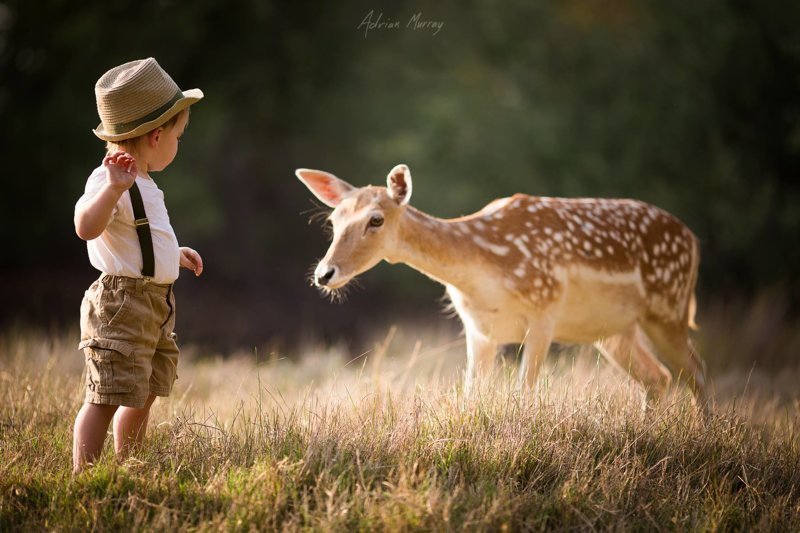 Добрый и волшебный мир детства Adrian Murray., детские фотографии, детство, фотомир