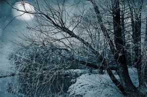 Полнолуние 4 февраля 2015 года