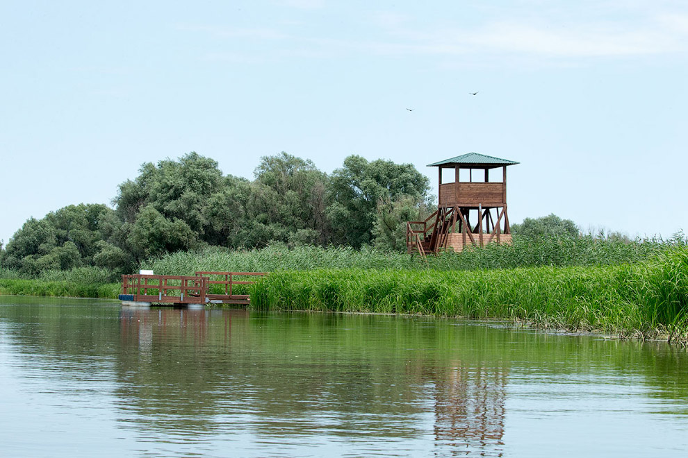 Астраханский заповедник