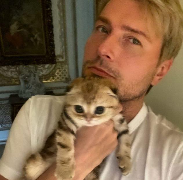 В каких апартаментах живут Николай Басков вместе со своей кошкой