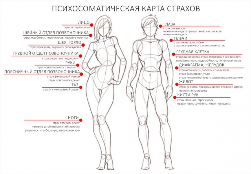 Тело помнит все: где спрятались переживания.jpg Тело помнит все: где спрятались переживания.jpg