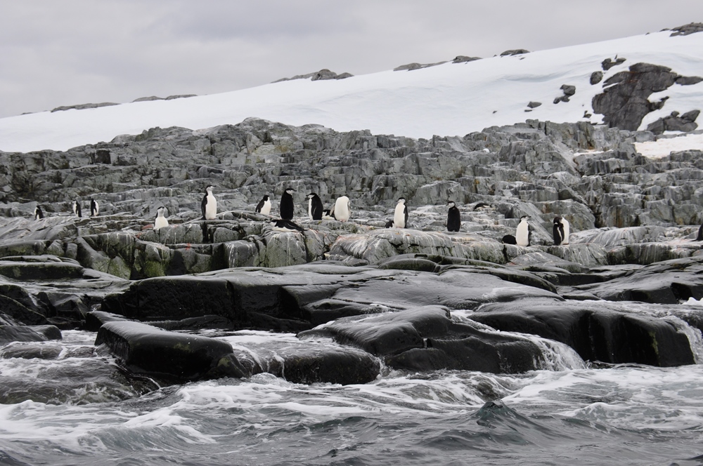 Антарктида. Скалистые лабиринты Spert Island и Школа Фотографии