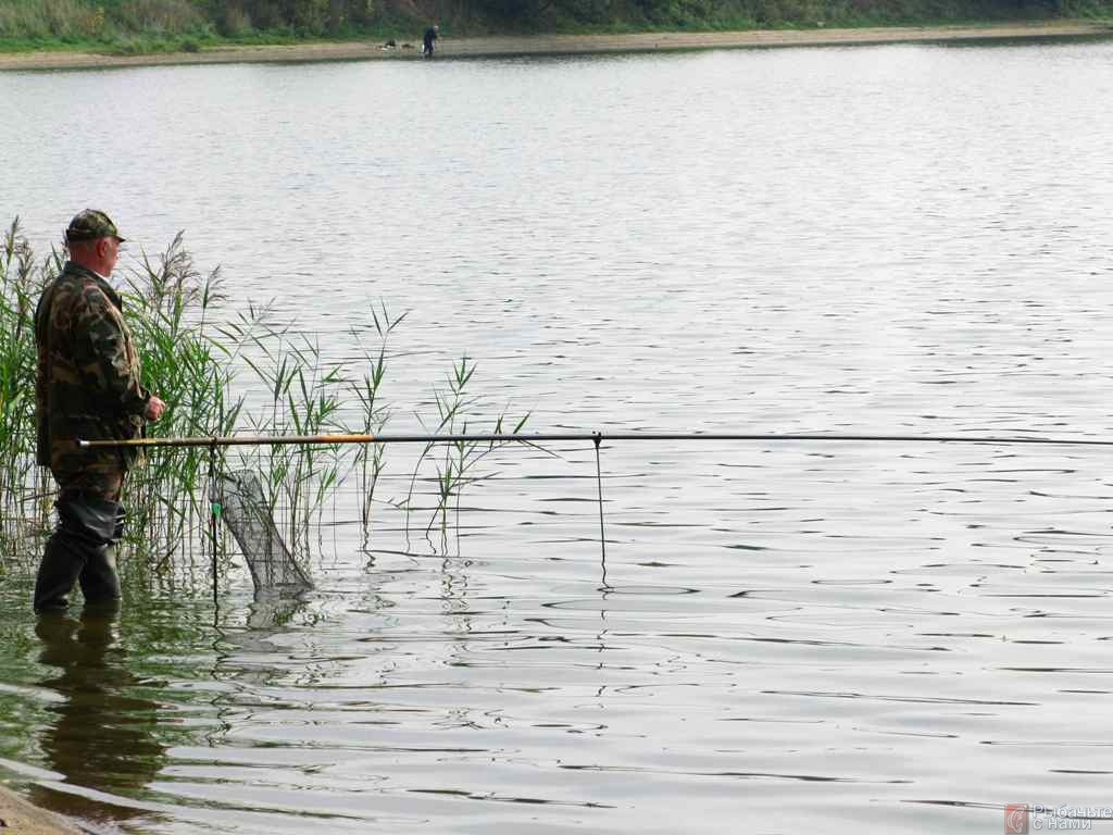 когда начинается рыбалка на карася когда начинается рыбалка на карася