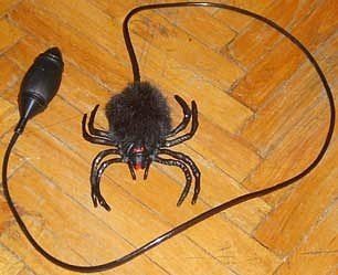 интересное, прочее, девушки, прикол, про жизнь, для одноклассников, прикольные и смешные, для вконтакте, прочие, для аськи