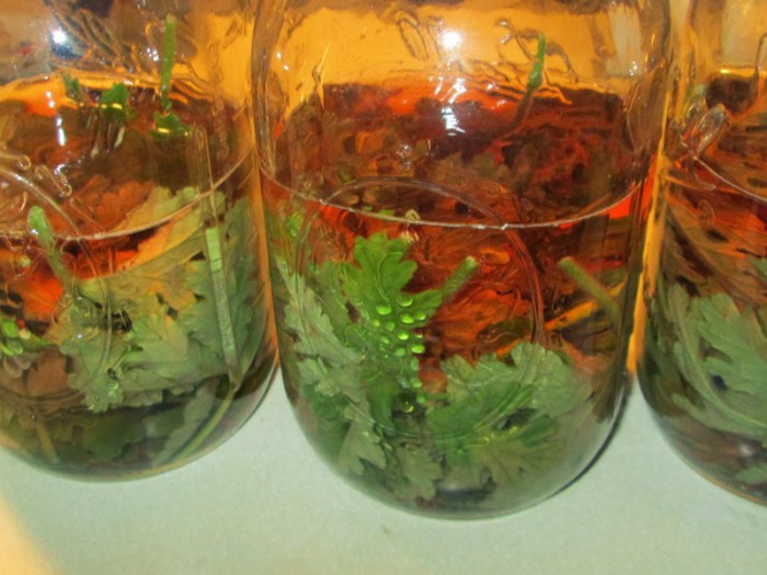 http://www.rastimul.com.ua/wp-content/uploads/kashl-700x525.jpg