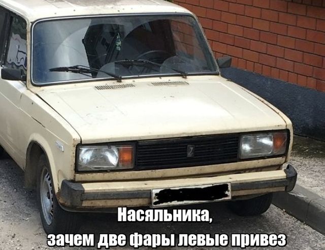 Подборка прикольных фото Подборка прикольных фото