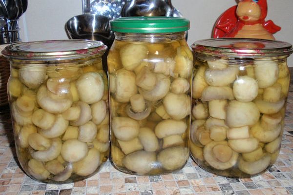 Как мариновать шампиньоны в домашних условиях для шашлыка