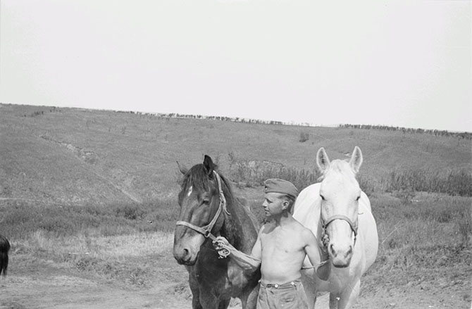 Белгородской области 1943 года в объективе рядового вермахта