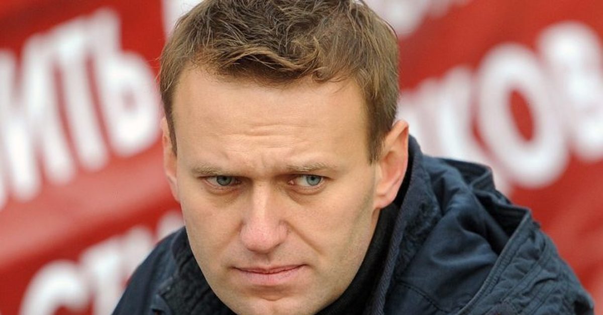 «5 шагов» Навального назвали необоснованными и излишними