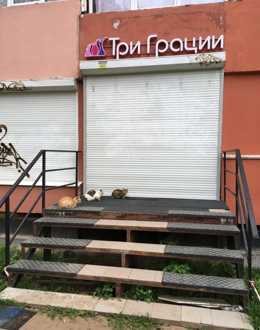 Такое возможно только в России. часть 40 ( 55 фото ) Такое возможно только в России. часть 40 ( 55 фото )