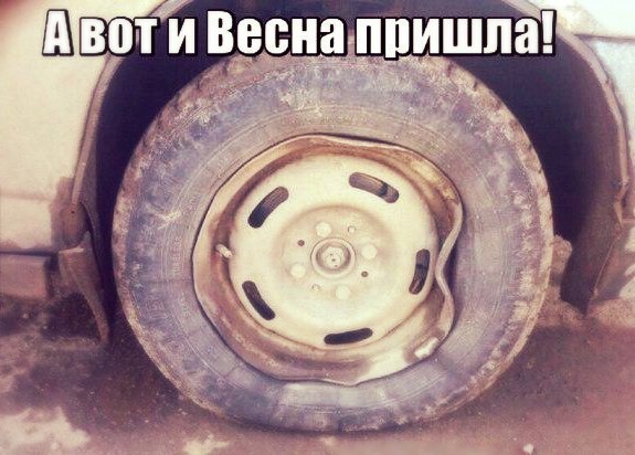 Юмор в понедельник!