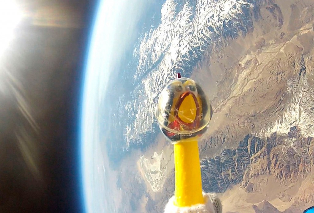 Резиновая курица Камилла, названная в честь героини «Маппет-шоу», на фоне планеты Земля. Калифорнийские школьники вместе с NASA запустили курицу в космос в шаре, наполненном гелием, который поднял ее на высоту 40 км, после чего лопнул, и Камилла благополучно вернулась на место запуска.  Фото: Reuters