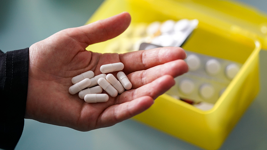 Врач дала советы по употреблению витаминов