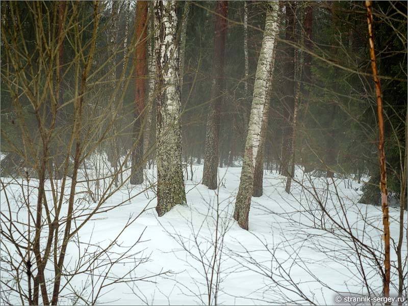 Праздник любования туманами