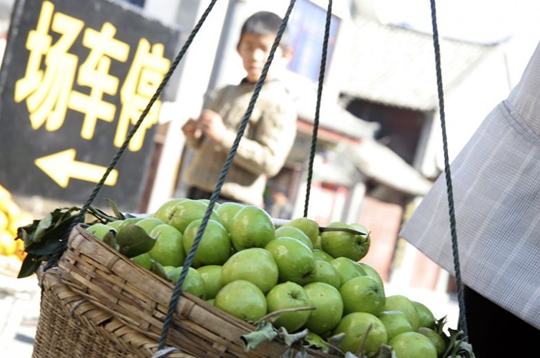 В чём опасность продуктов из Китая? В чём опасность продуктов из Китая?