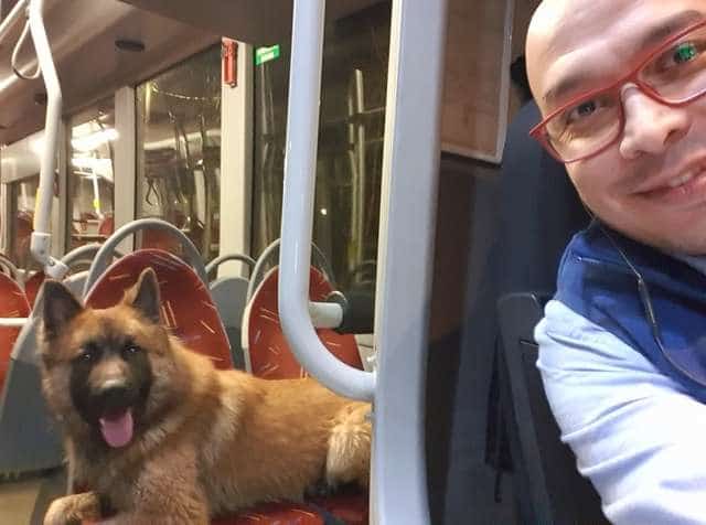 помощь потерявшемуся псу собака в автобусе
