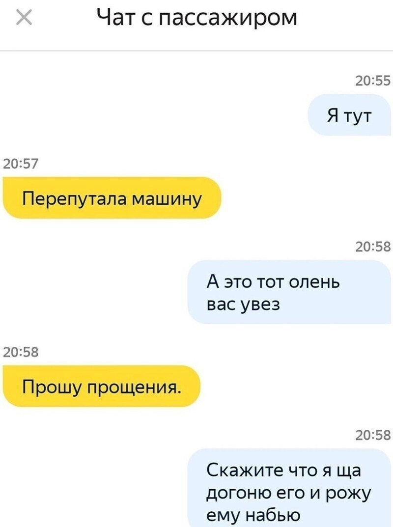 Перепутал О чем чатятся пассажиры с водителями такси
(16 фото)