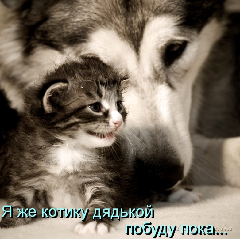 Дружба навеки