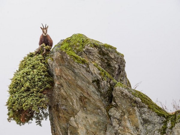 Подборка лучших снимков от National Geographic (30 фото)