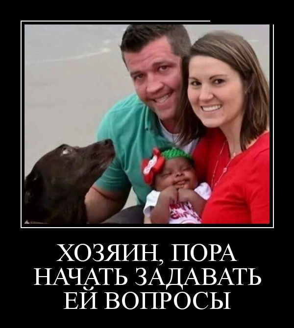 Демотиваторы (30 фото) Демотиваторы (30 фото)