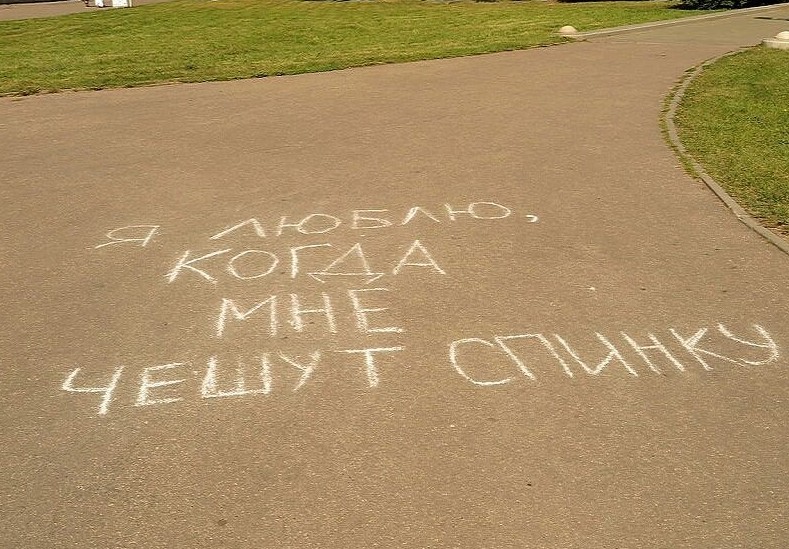 Я тоже Я тоже асфальт, крик души, надписи, философия