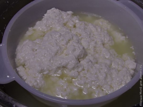 адыгейский сыр адыгейский сыр
