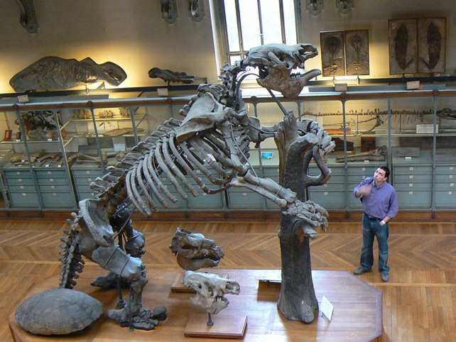 prehistoric16 Невероятные монстры прошлого, обитавшие на Земле