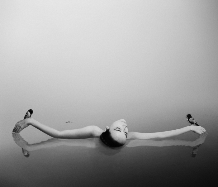   Noell S. Oszvald