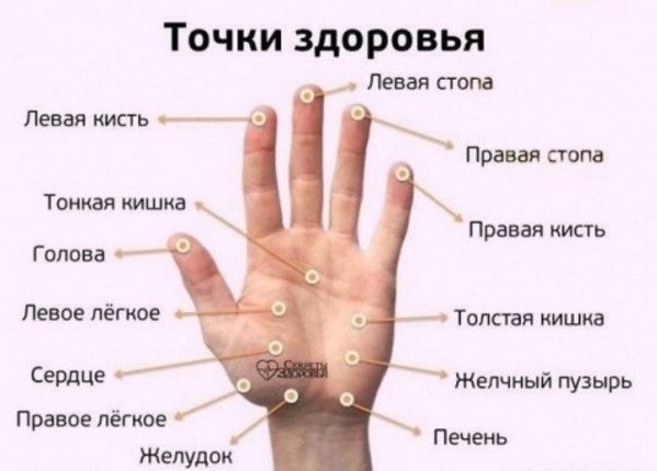 Точки здоровья на ладонях Точки здоровья на ладонях