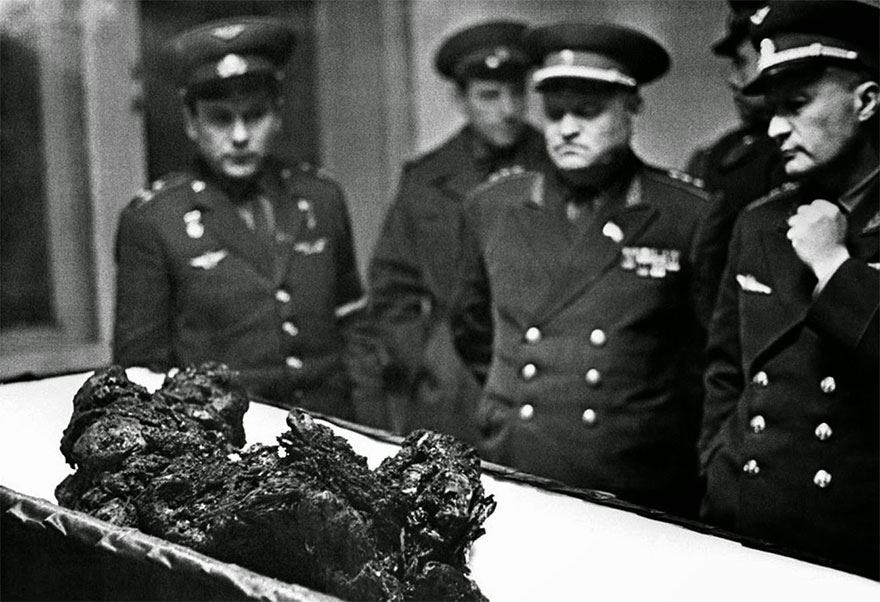 Архивные фотографии, которые запечатлели редкие исторические моменты Архивные фотографии, которые запечатлели редкие исторические моменты