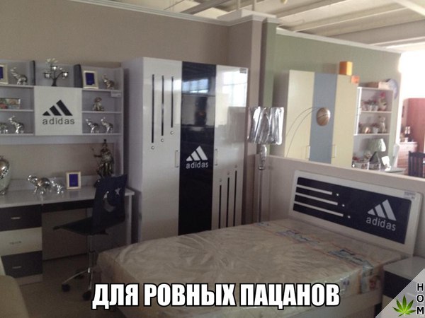 Смешные картинки с надписью для веселья (11 фото) Смешные картинки с надписью для веселья (11 фото)
