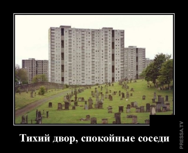 ДЕМОТИВАТОРЫ+ ДЕМОТИВАТОРЫ+