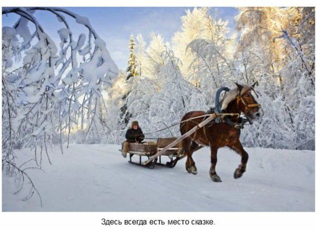 Мы живём в самой прекрасной стране на свете... интересное, знаменитости, красота, демотиваторы, красотка, животные, девушки, приметы