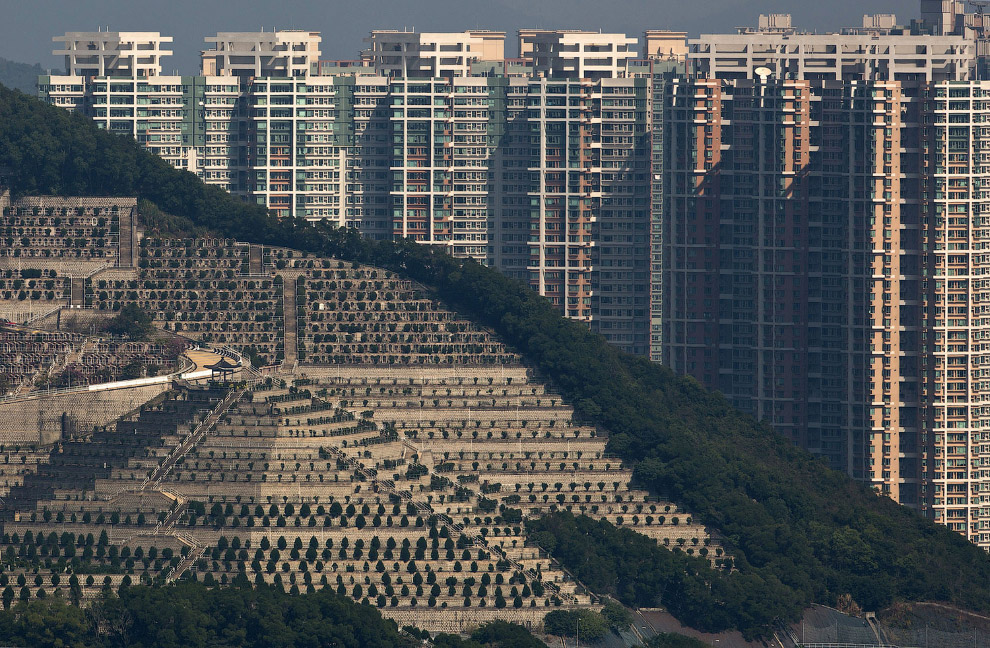 Могилы на склонах холма перед жилыми домами в Гонконге